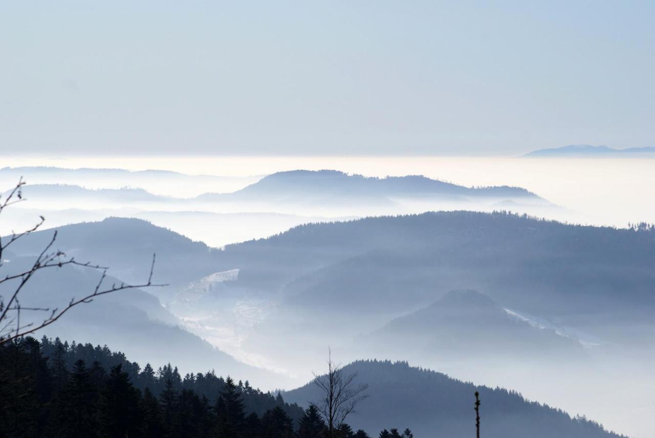 Appartamento Schauenburgblick Oberkirch  Esterno foto